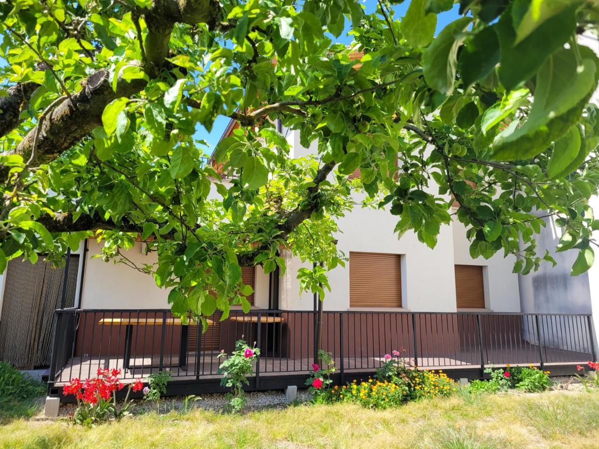 Casa Julio, Bonita Casa Comoda Y Espaciosa, Totalmente Reformada Con Terraza Y Jardin Privado Riezu Exteriér fotografie